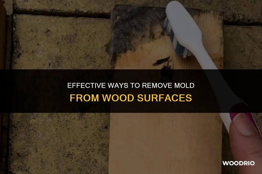 can you remove mould from wood