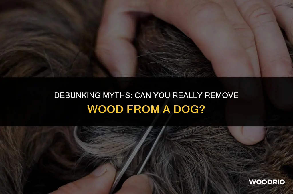 can you remove the wood from a dog