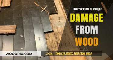 Restoring Wood After Water Damage: A Comprehensive Guide