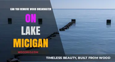 Exploring Options for Removing Wood Breakwater on Lake Michigan