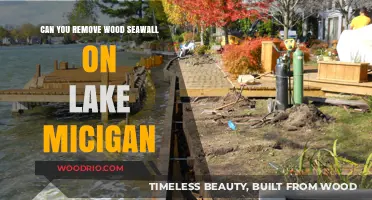 Exploring Options: Removing Wood Seawalls on Lake Michigan