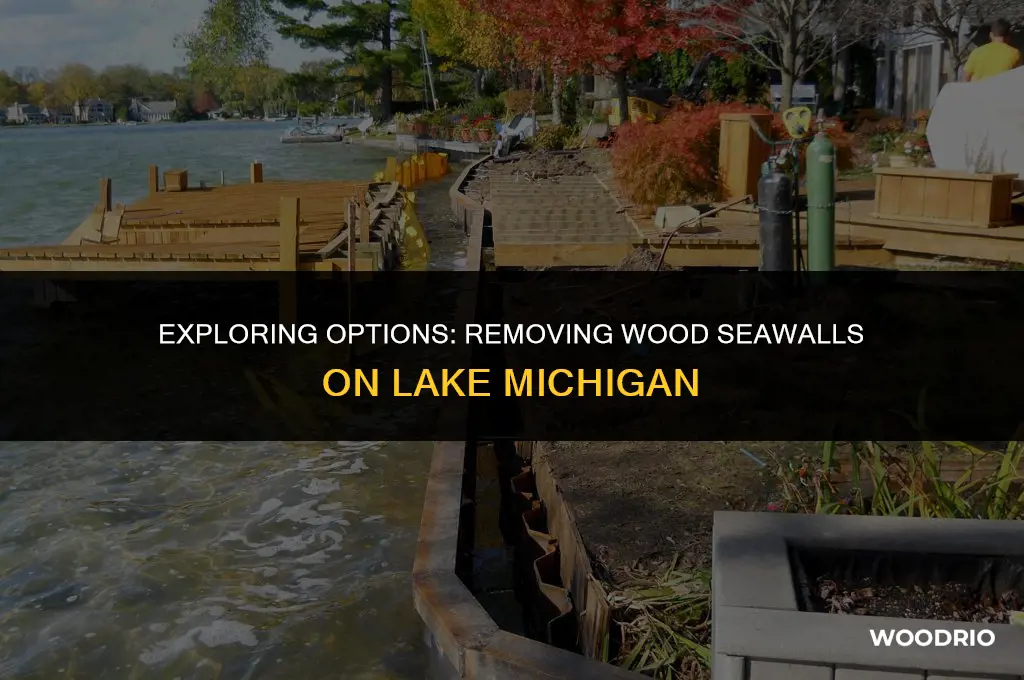 can you remove wood seawall on lake micigan