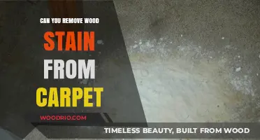 Effective Methods to Remove Wood Stain from Carpet