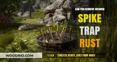 Effective Methods to Remove Rust from Wooden Spike Traps