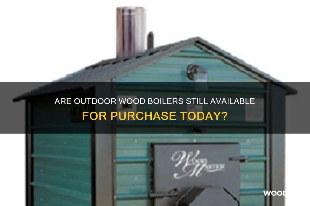 can you still buy outdoor wood boilers