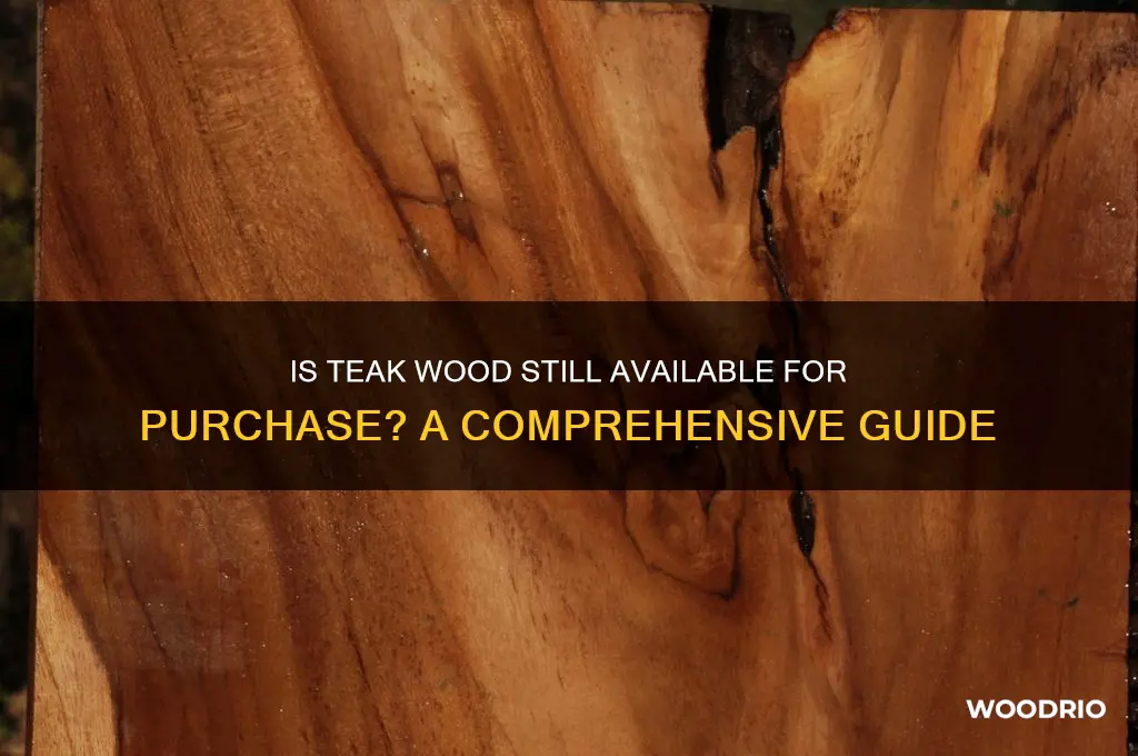 can you still buy teak wood