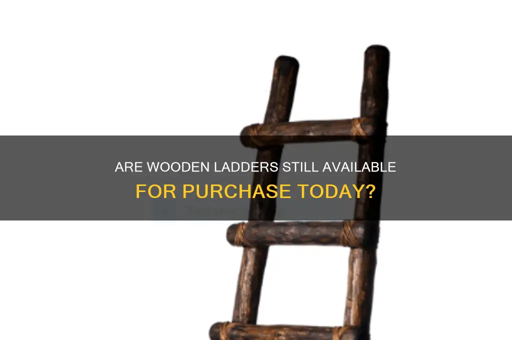 can you still buy wooden ladders