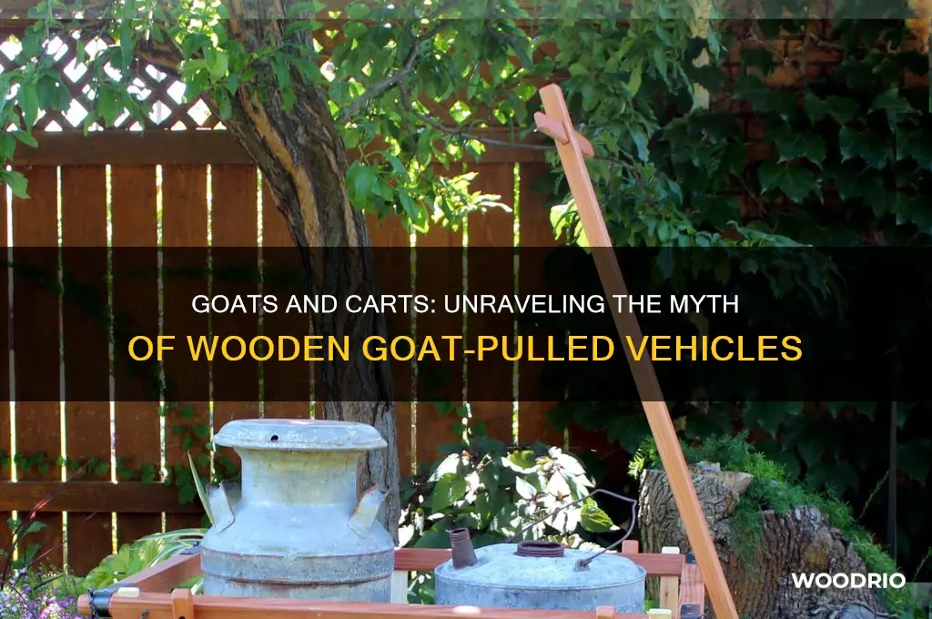 did a goat pull the old wooden goat carts