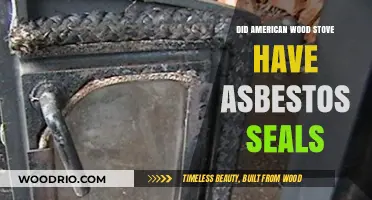 Unveiling the Truth: Asbestos Seals in American Wood Stoves