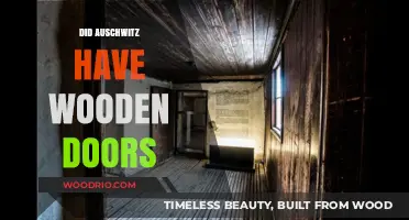 Unveiling the Truth: Auschwitz's Wooden Doors and Historical Accuracy