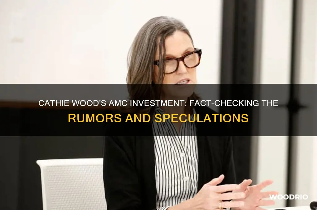 did cathie wood buy amc