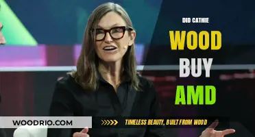 Did Cathie Wood Buy AMD? Analyzing ARK Invest's Latest Moves