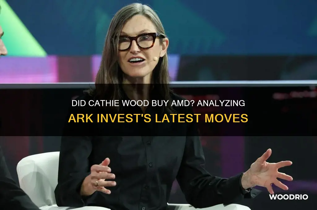 did cathie wood buy amd