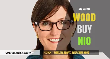 Cathie Wood's NIO Investment: What's the Latest Update?