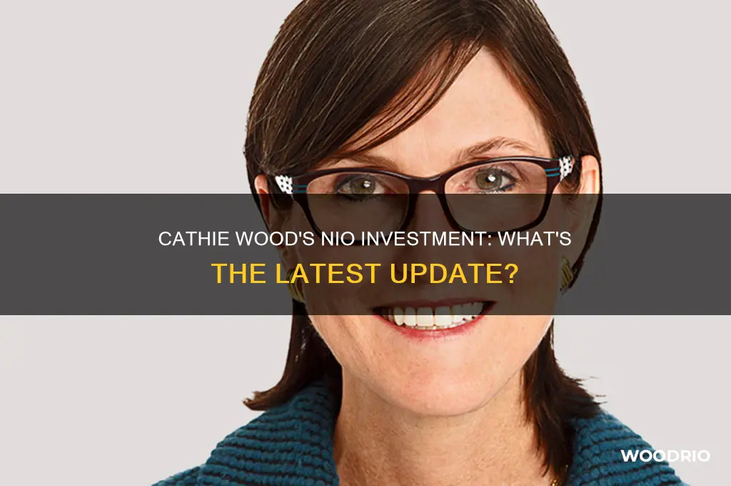 did cathie wood buy nio