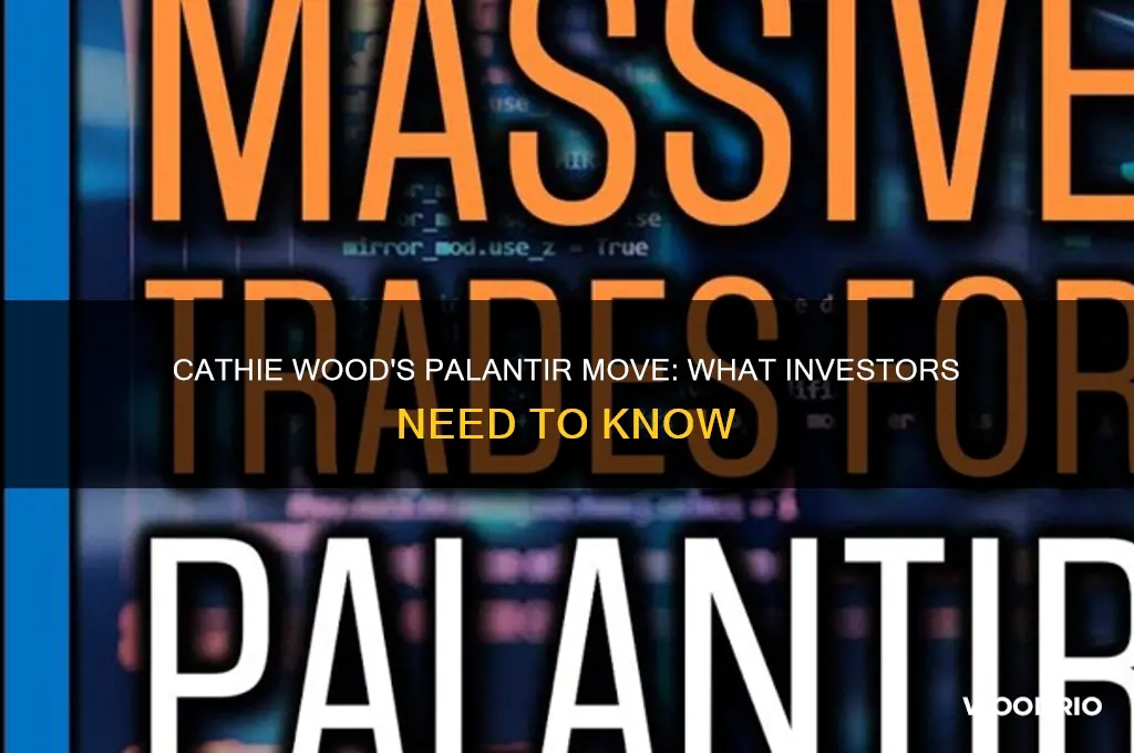 did cathie wood buy palantir