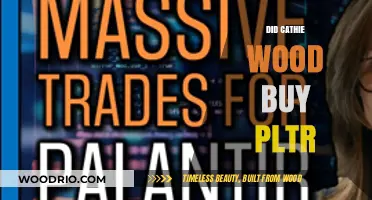 Cathie Wood's PLTR Purchase: What It Means for Investors