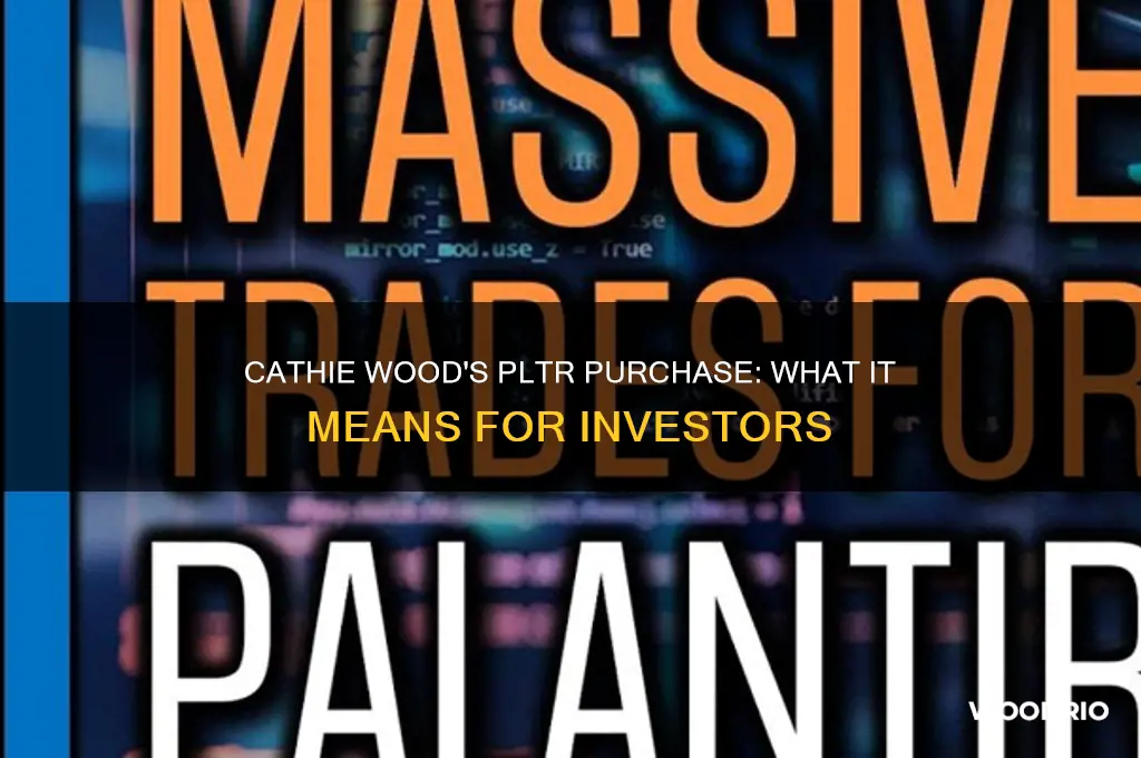 did cathie wood buy pltr