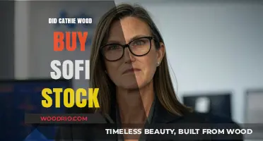 Cathie Wood's SoFi Stock Purchase: What Investors Need to Know