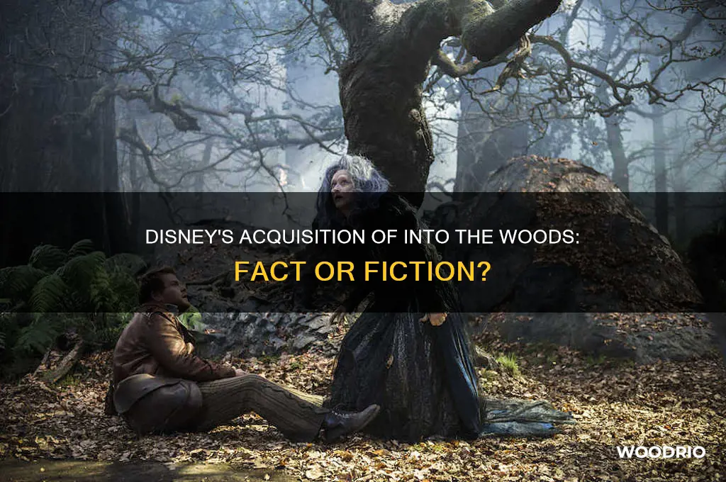 did disney buy into the woods