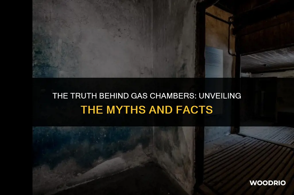 did gas chambers have wooden doors