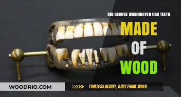 Unraveling Myths: The Truth About George Washington's Wooden Teeth
