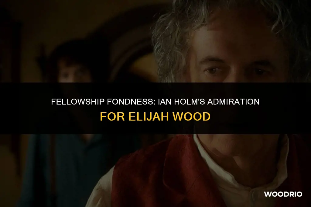 did ian holm like elijah wood