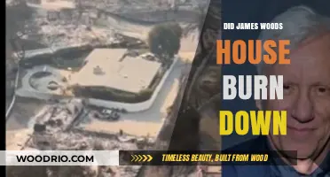 James Woods' House Fire: Facts, Rumors, and Investigations Uncovered