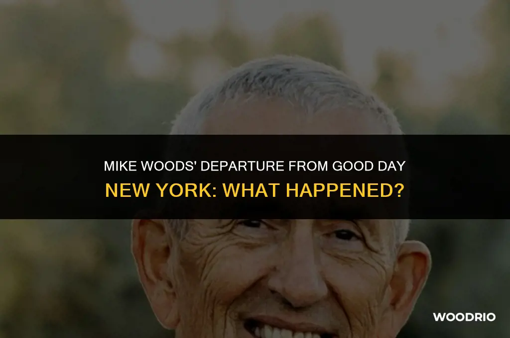 did mike woods leave good day new york
