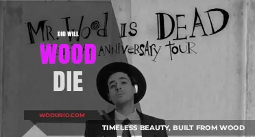 Unraveling the Mystery: What Really Happened to Will Wood?