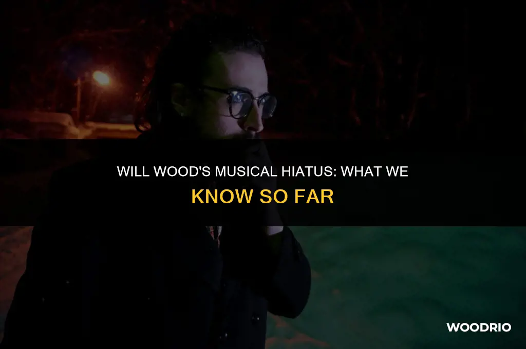 did will wood stop making music