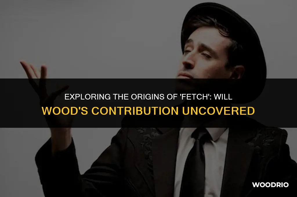 did will wood write the fetch song