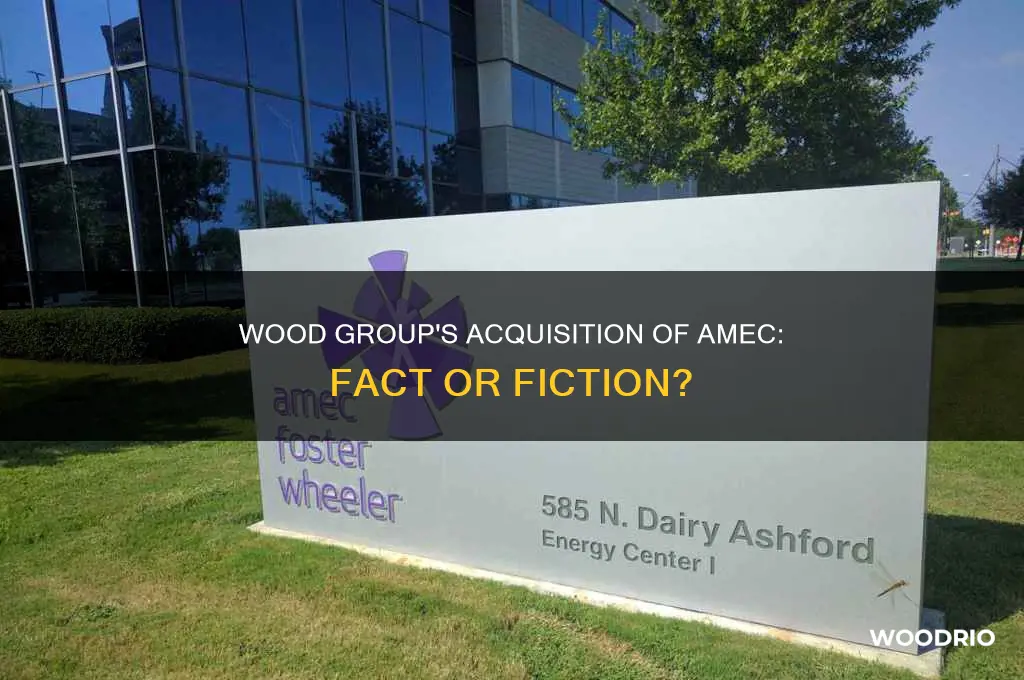 did wood group buy amec