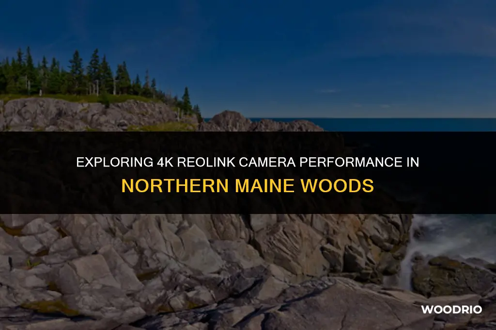 do 4k reolink cameras work good in northern maine woods