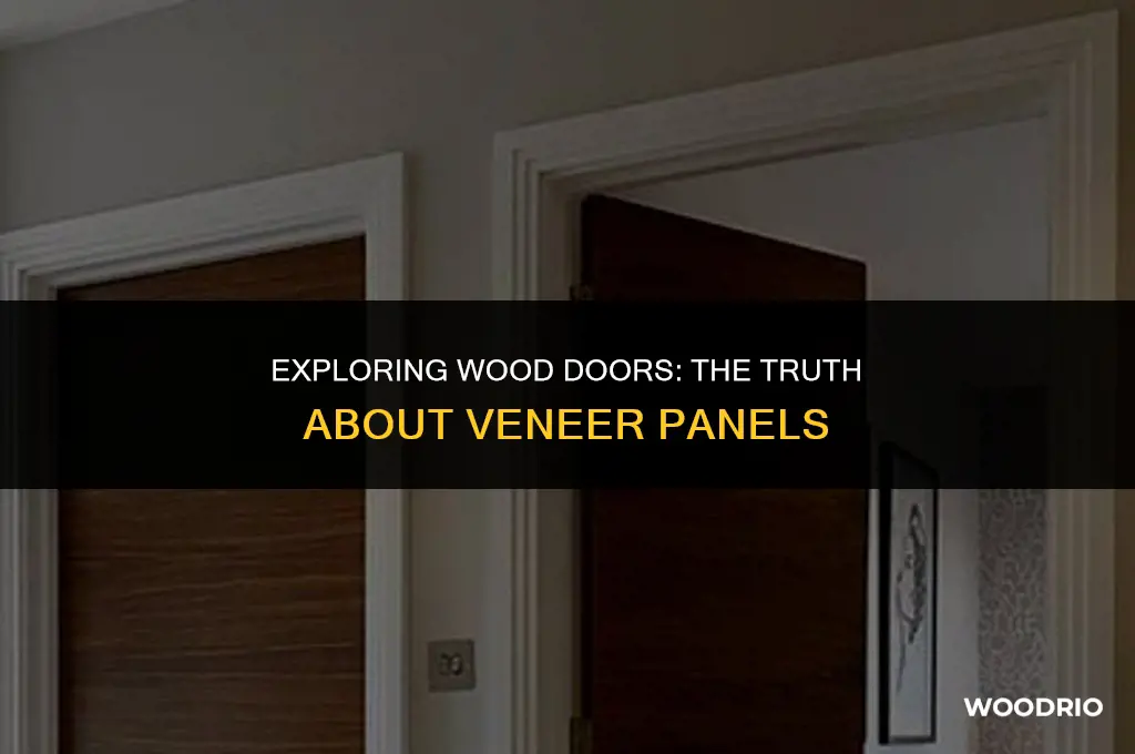 do all wood doors have veneer panels