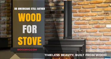 The Enduring Tradition: Do Americans Still Gather Wood for Stoves?