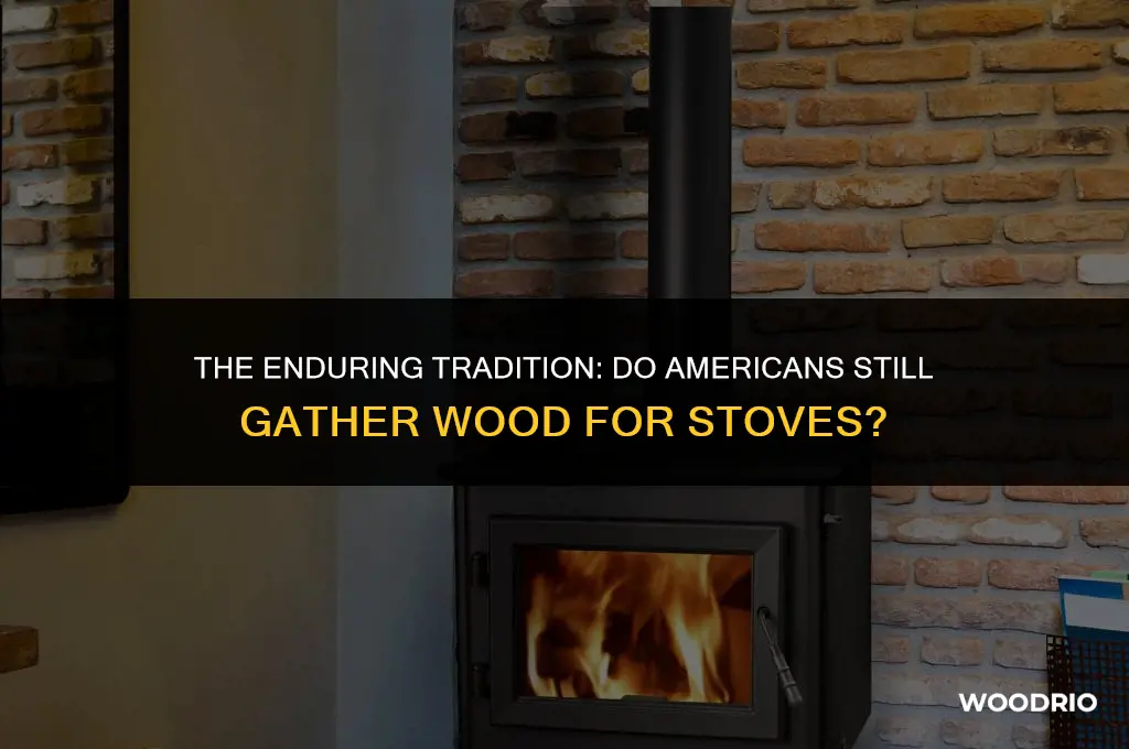 do americans still gather wood for stove