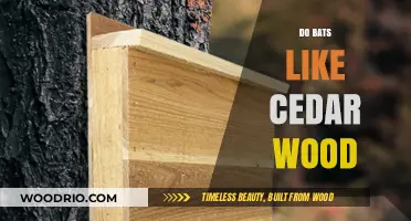 Exploring Bat Preferences: Do They Really Like Cedar Wood?