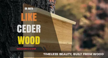 Exploring Bat Preferences: Do They Really Like Cedar Wood?