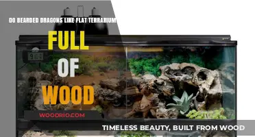 Bearded Dragons' Habitat Preferences: Flat Terrariums vs. Woody Enclosures