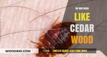 Nature's Pest Repellent: Can Cedar Wood Keep Bed Bugs Away?