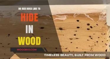 Uncovering the Truth: Do Bed Bugs Really Hide in Wood?
