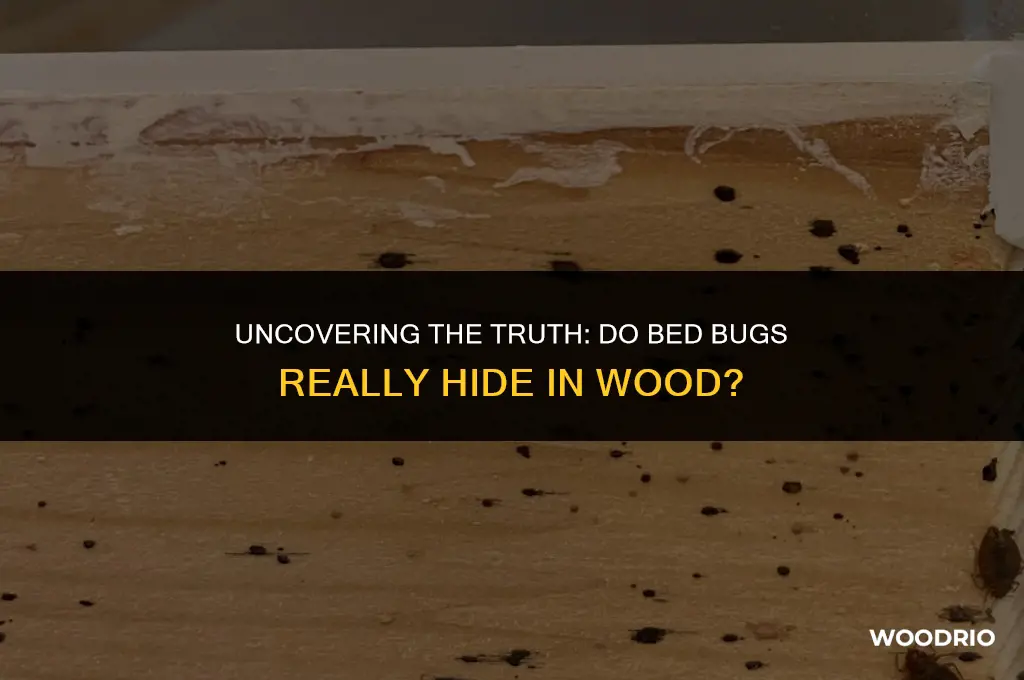do bed bugs like to hide in wood