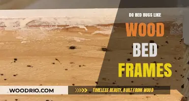 Wooden Bed Frames: A Haven for Bed Bugs or Just a Myth?