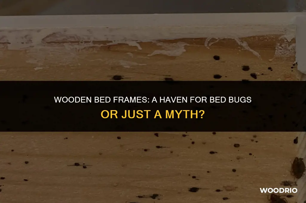 do bed bugs like wood bed frames