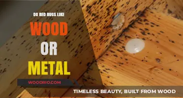 Material Matters: Uncovering Bed Bugs' Preferences for Wood vs. Metal