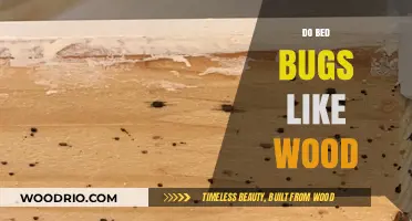 Do Bed Bugs Like Wood? A Comprehensive Guide to Their Habitat Preferences