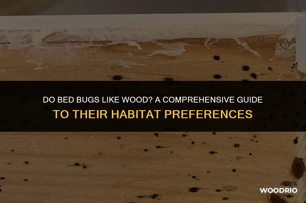 do bed bugs like wood