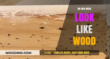 Unveiling the Truth: Do Bed Bugs Really Resemble Wood?