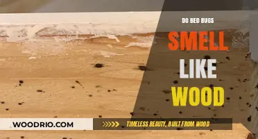 Unveiling the Truth: Do Bed Bugs Really Smell Like Wood?